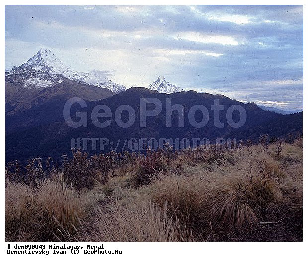 ��������, �������, ������ ������, �����, ��� ����, ������� � �����, ����, ������