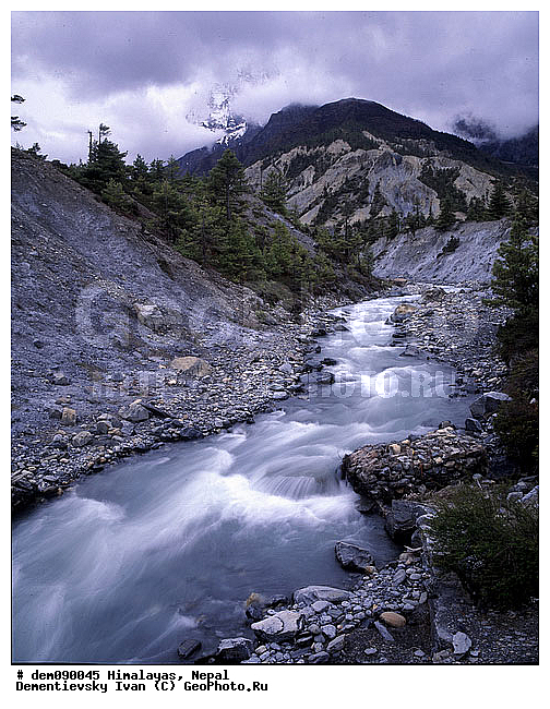 ��������, �������, �����, �����, ����, ����, ����������, ������, ��������, ����