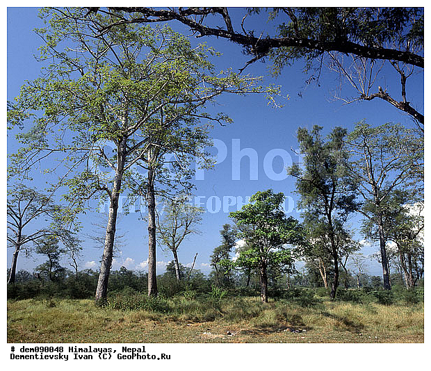 �������, �����, ������, �������, ����, ������, �������, �������