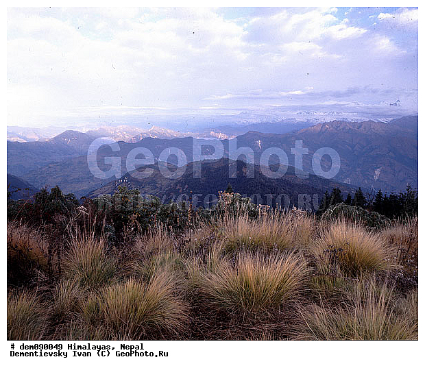 �������, �����, ����. ������� � �����. ������ ������. ��� ����. ��������, ������