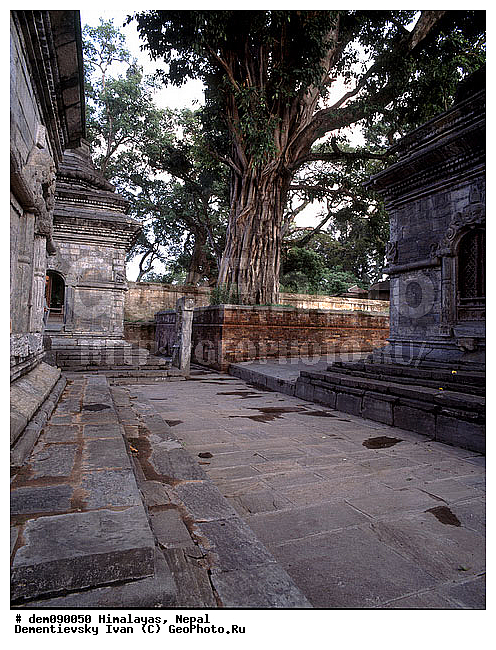 �������, �����, ��� ������� �������. ��������� ����, �����, ����. ������ ��������. �������. ������� ����. ����������. ����� ����. ����������� �����. ������������, �����, ������, ��������