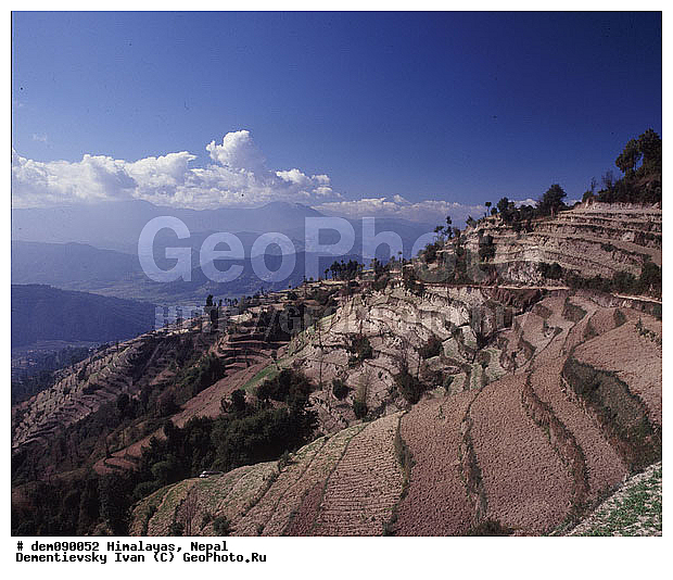 �������, ������ ������, ������ ��������, �����, ������� ����, �������, ��������, ����, ����, ��������, ������, ������