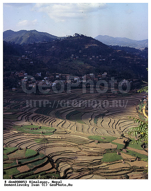 �������, ������ ������, ������ ��������, �����, ������� ����, �������, ��������, ����, ����, ��������, ������, ������