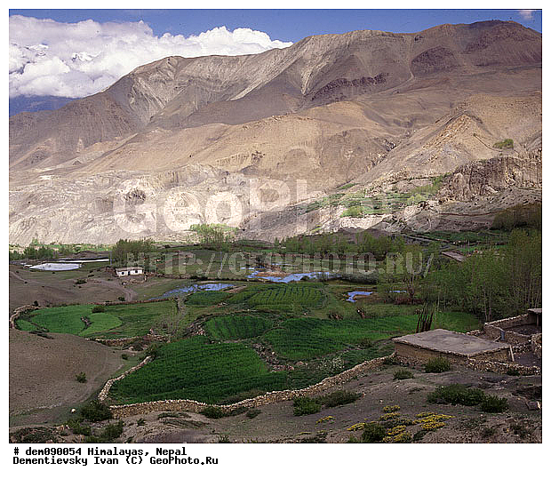 �������, �����, ����. ������ ��������. ������ ������. ������� ����, ������