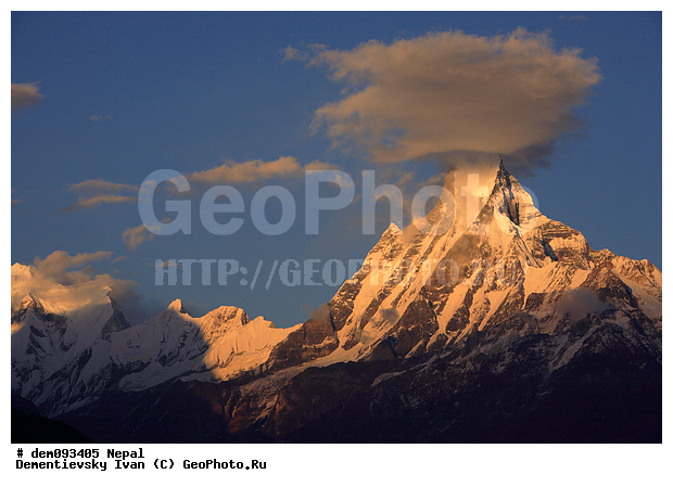 �������, ������ ��������, �����, ����������� �������, �����������, ������, �����, �������, ������, ���������������, �������