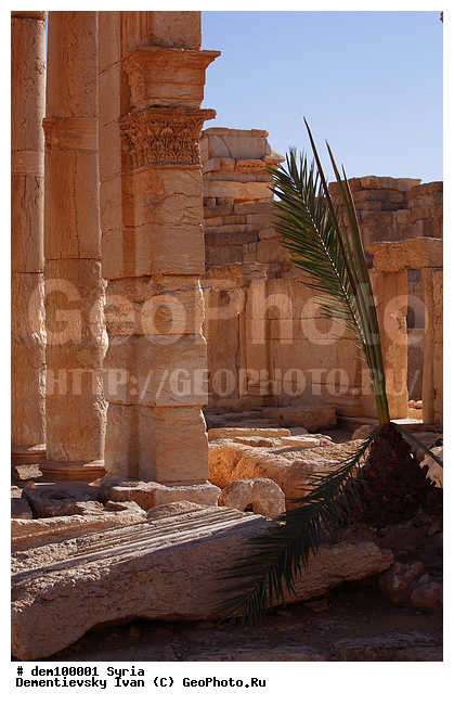 ������� ���, �������� � ���� �������, �����, ������, �������������, �������, �����