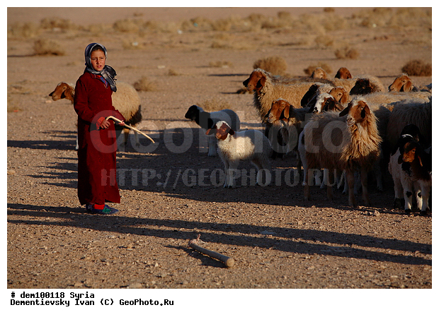 �����, ����, ������, �����, ����, �������, �������, �������, ����, �������, �������, �����