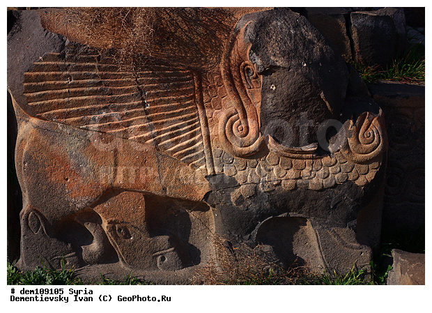 �����, �����, ��������, ������� ���� ������ �����, �������, �����, ���������, ����, ����������, �����, �����, ���������