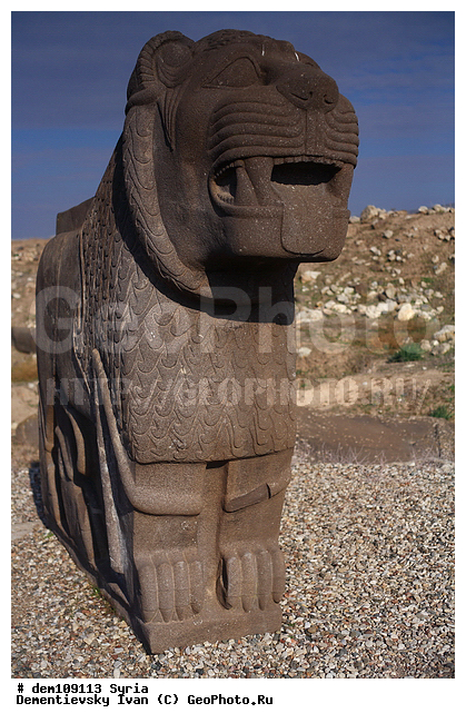 �����, �����, ��������, ������, �������, ���������, �����, ����