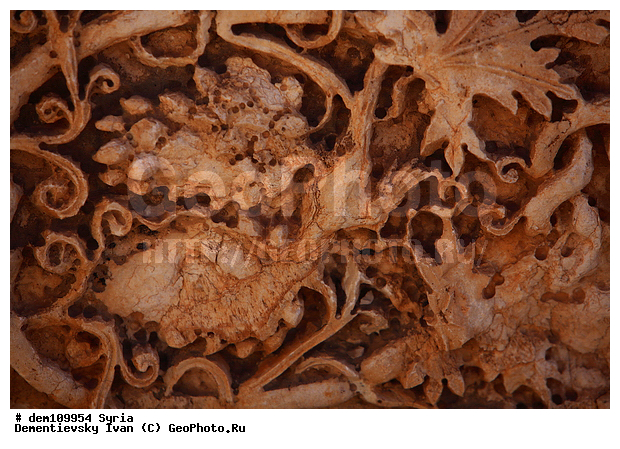 ��������, �����, �������� �������