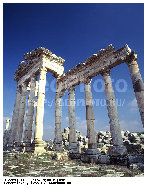 �����, ������������, ����������, ������� ���������, �������, ������, ���������