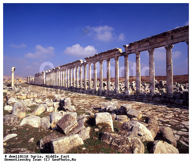 �����, ������������, ����������, ������� ���������, �������, ������, ���������