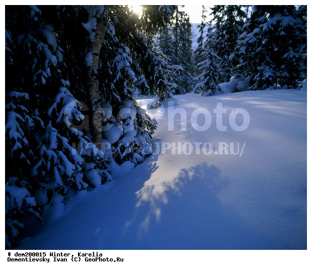 ���������� �����, �������, ������������ ���, ����, ������ ��������, �������