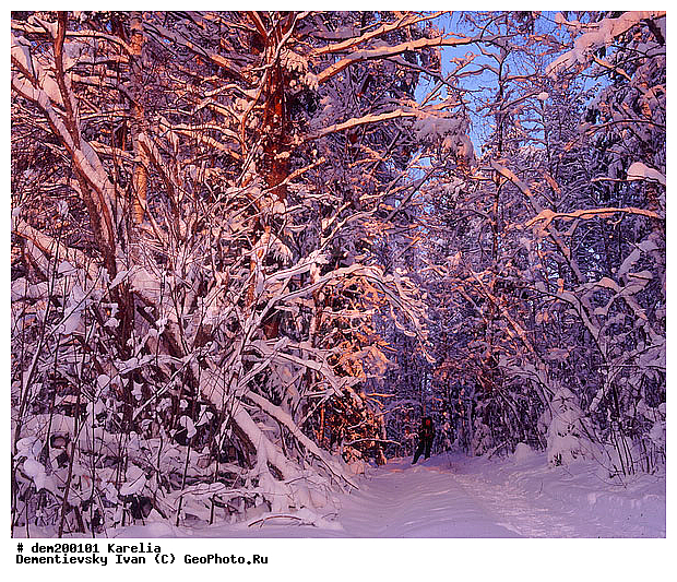 �������, ����, ����. ����������� ������. ���������� �����