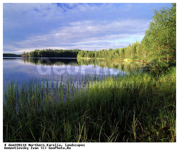 �������, ������ ������, ����, ������