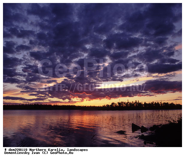 �������, ������ ������, ����, ������