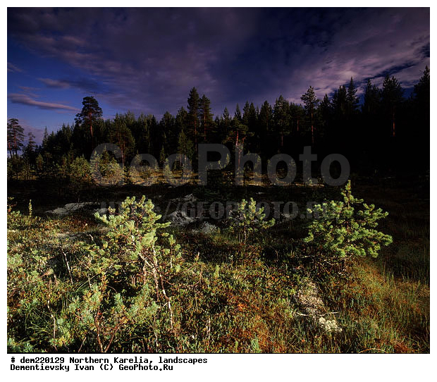 �������, ������ ������, ����, ������