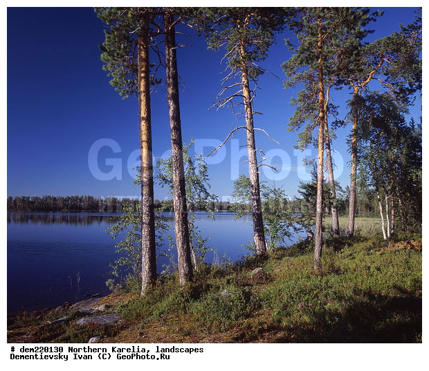 �������, ������ ������, ����, ������