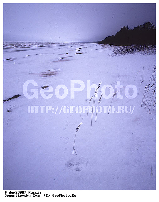 �������, �������� �����, ����, ��������� ������, ��������, ������