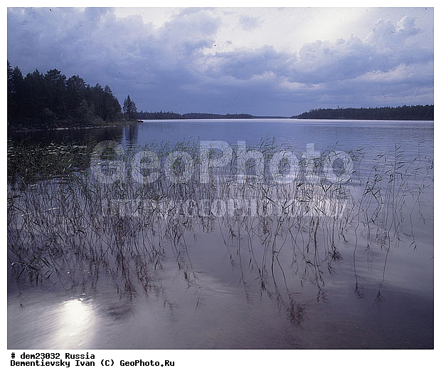 �������, �����, �����, ������, ��������