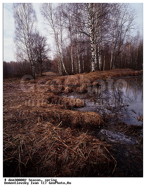 ������� ����, �������������, ������� ������, �������� ������, �����, ������, ���������, �������, ����� ����