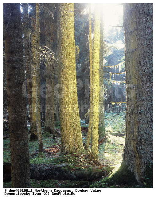 ������, ������, ���, ������� �������, �����, �����