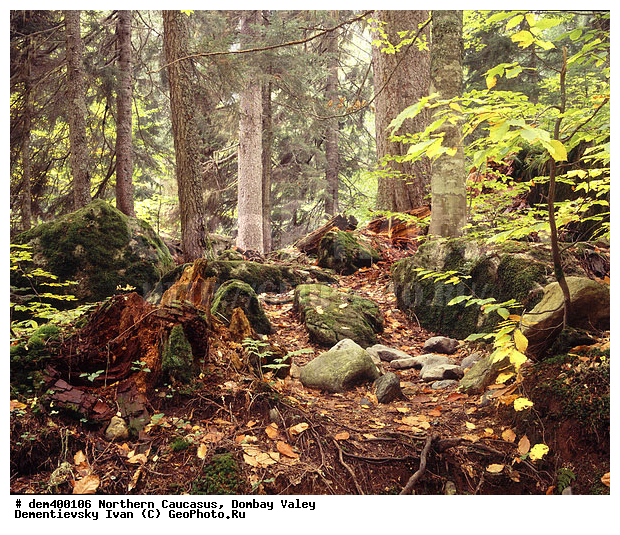 ������, ������, ���, ������� �������, �����, �����