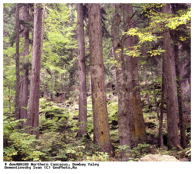 ������, ������, ���, ������� �������, �����, �����