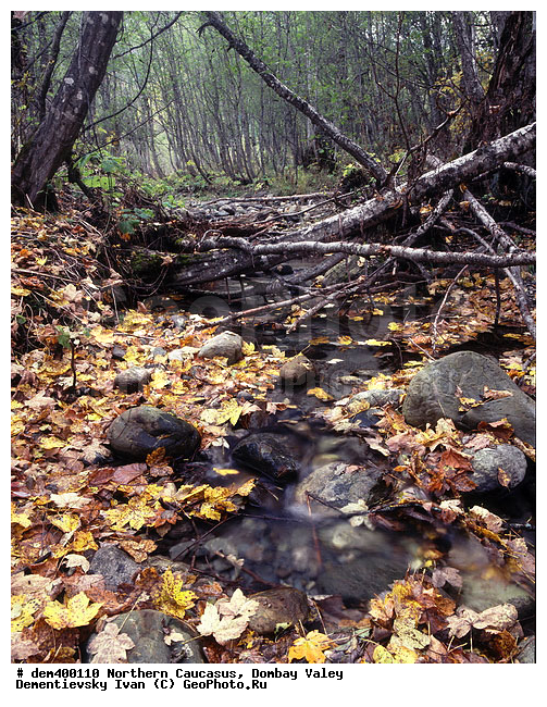 ������, ������, ���, ������� �������, �����, �����