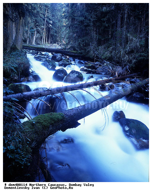 ������, ������, ���, ������� �������, �����, �����