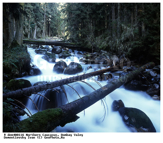 ������, ������, ���, ������� �������, �����, �����