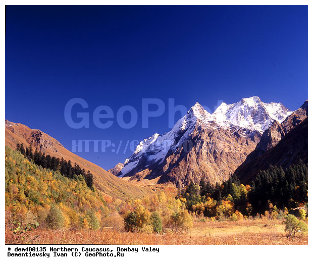 ������, ������, ���, ������� �������, �����, �����