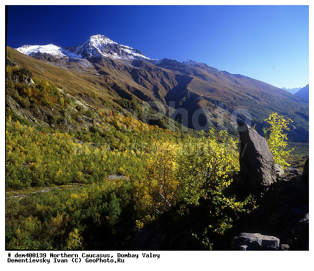 ������, ������, ���, ������� �������, �����, �����