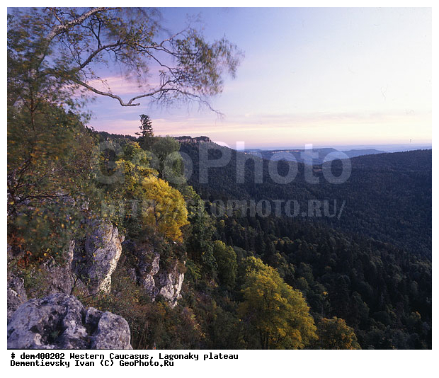 �������� ������, ����, �������, ����, ����� ��������