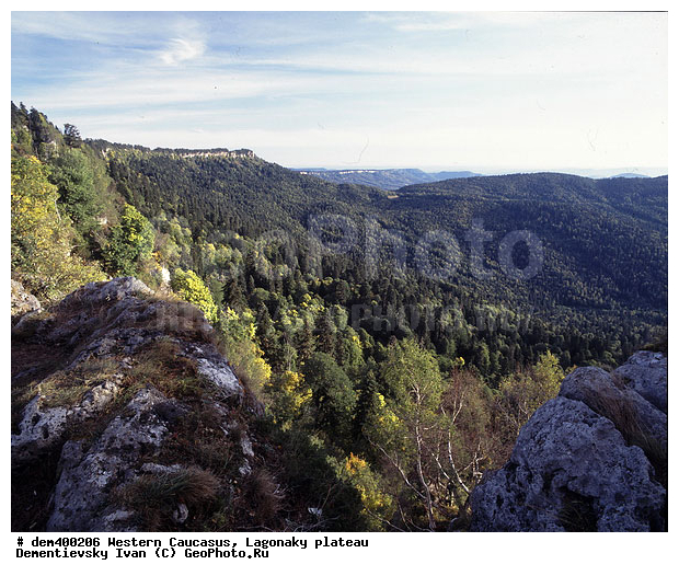 �������� ������, ����, �������, ����, ����� ��������