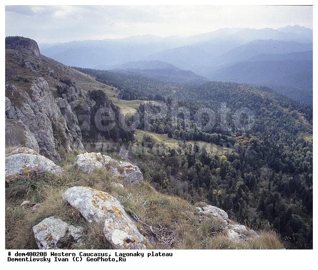 �������� ������, ����, �������, ����, ����� ��������