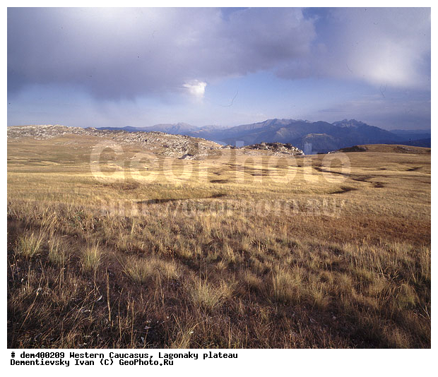 �������� ������, ����, �������, ����, ����� ��������