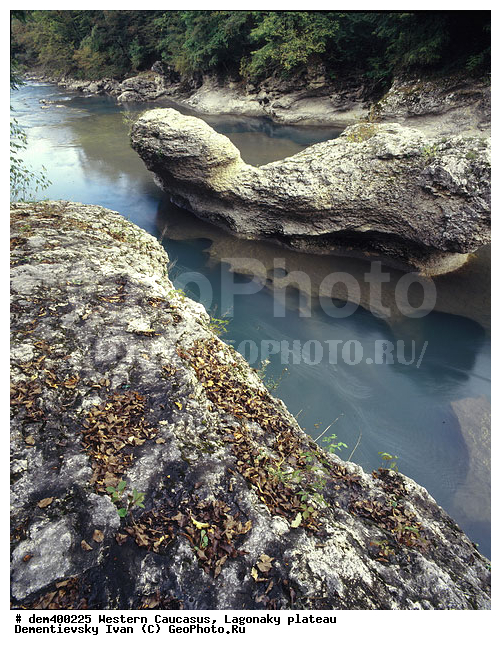 �������� ������, ����, �������, ����, ����� ��������