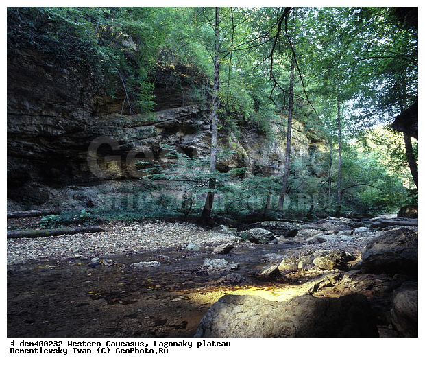 �������� ������, ����, �������, ����, ����� ��������