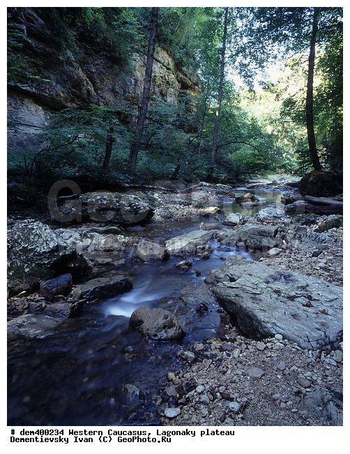 �������� ������, ����, �������, ����, ����� ��������