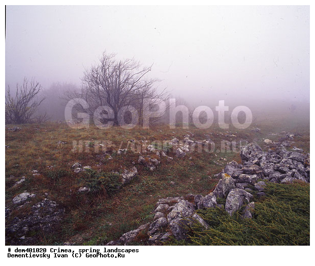 ������ ����, ����, �����, ������ �����