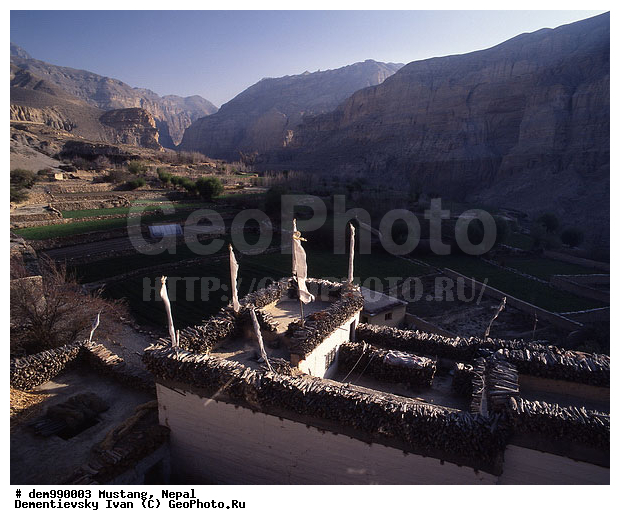 ����������� �������, �������, �����