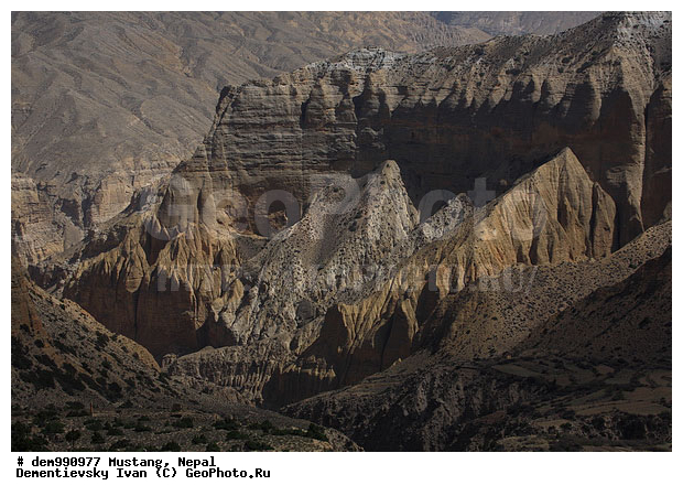 ����������� �������, �������, �����