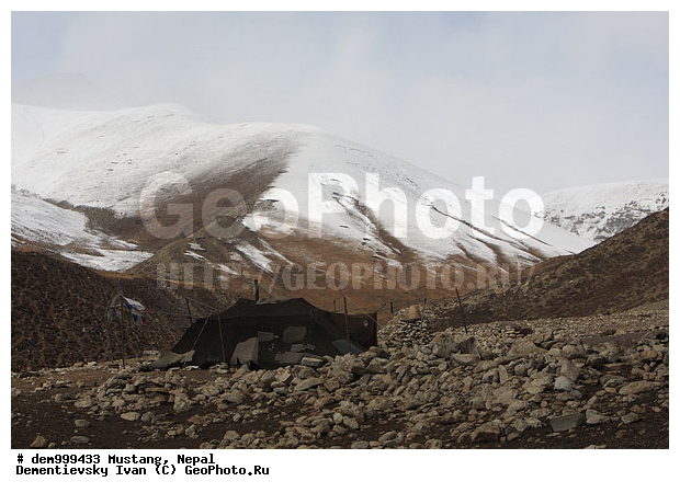 ����������� �������, �������, �����