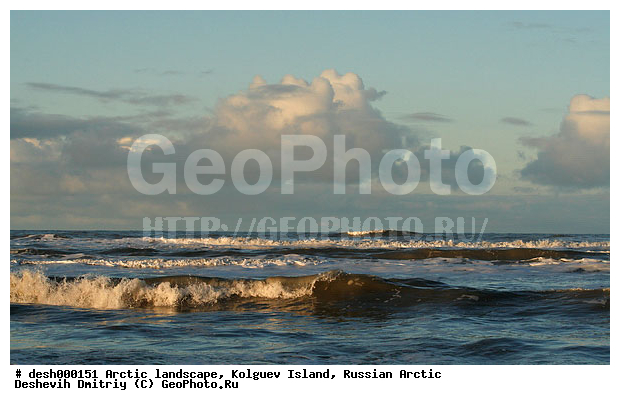 ��������� ����, �������, �������, �����������, ������, ������, ��������, �������, ��������, �����