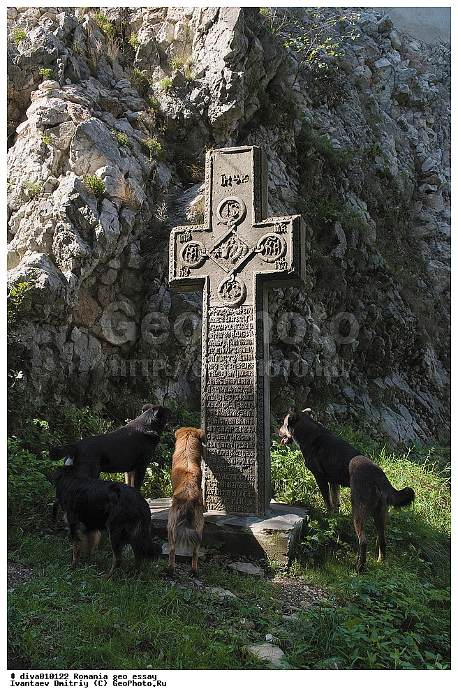 �������, ��������, �����������,���� �����,�������������, �������,����� ����,����� �������,�����,���������,�������,���������������,�������