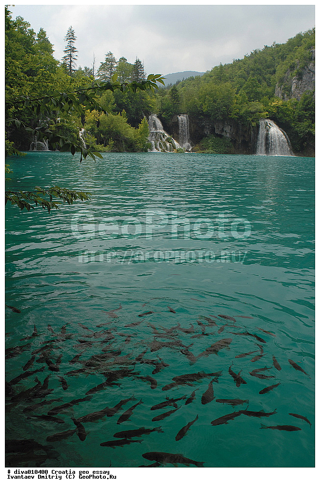 ��������, ��������, ����, ������, ������������ ����, ���������� ����