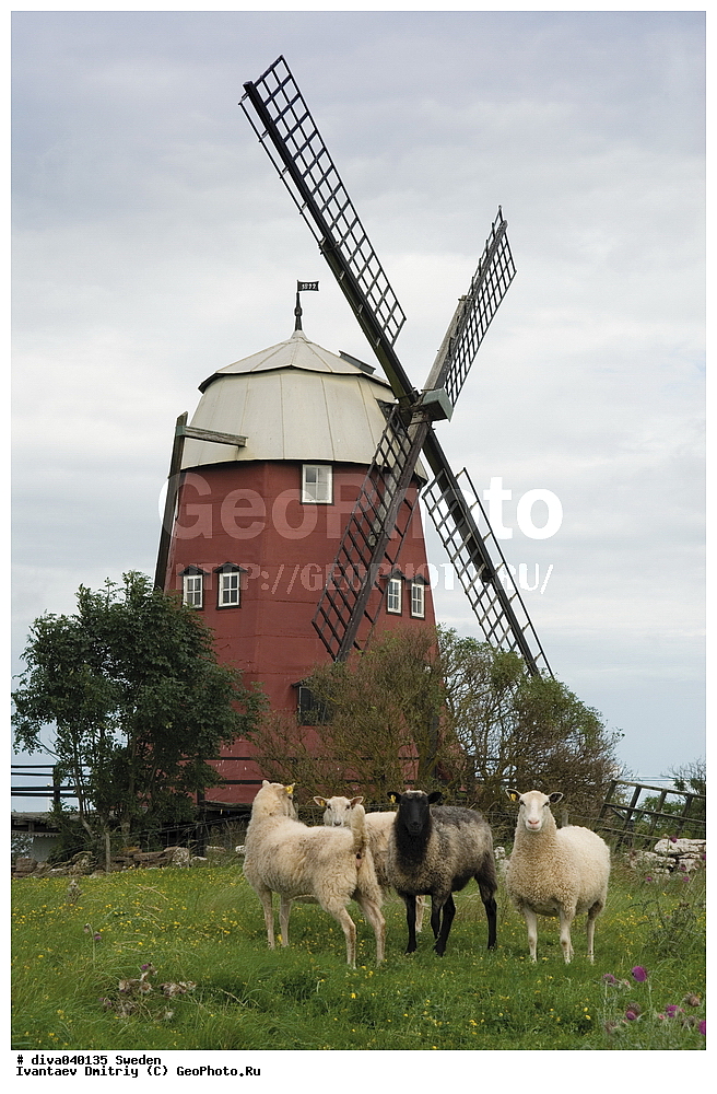 �����, ������, �� �����, �����, ������, ����������, �������� ��������