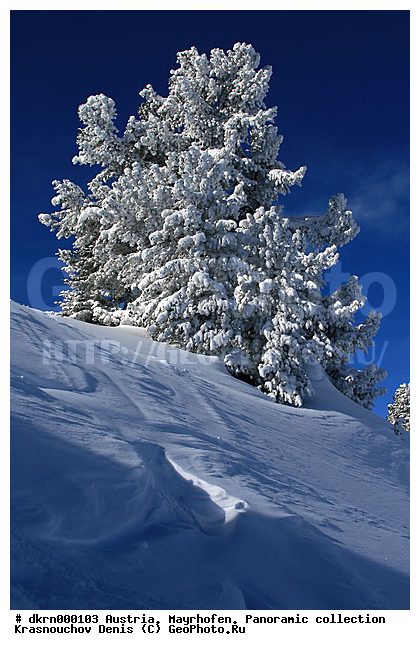 �������, �����, ���������, ������, �������, �����, ����������, �������������, ����������, ���������, �����, ���, �������, �����������, �����������, ������, ������, ����, ����, �����������, ����, ������, ���������, ��������, ������, ��������, ������, ����, �����, ����, ������, �����, ��������, ��������, �����������, �����, �����, ����, ��������, ���������, �����, �����, �����, ������, ������, �����, �����