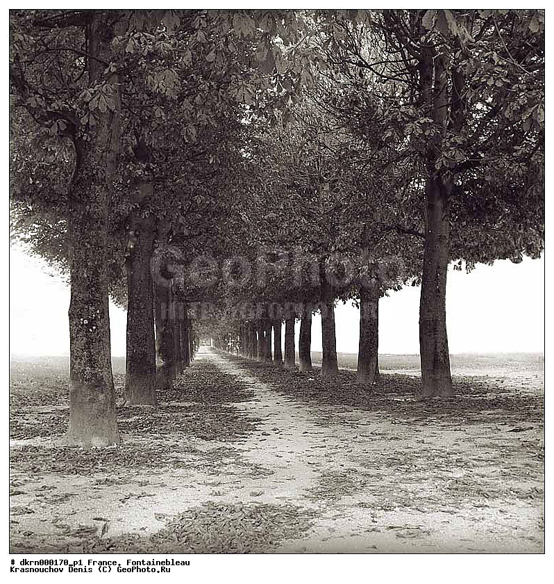 ����������, ������, �������, �����, ���������, ��������� , �������, �����, ������, ������, �����, ���������, ������, ��������, ������, ������, �����, ����, ��������, �����������, �����, �����